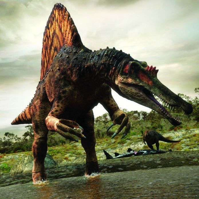 dinosaur
