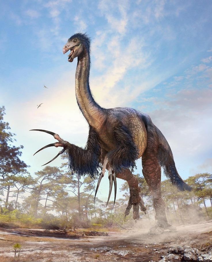 dinosour